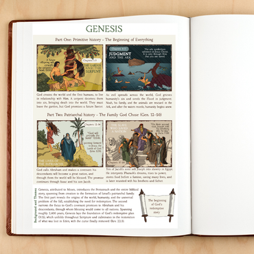 The Bible in Four Frames: THE PENTATEUCH