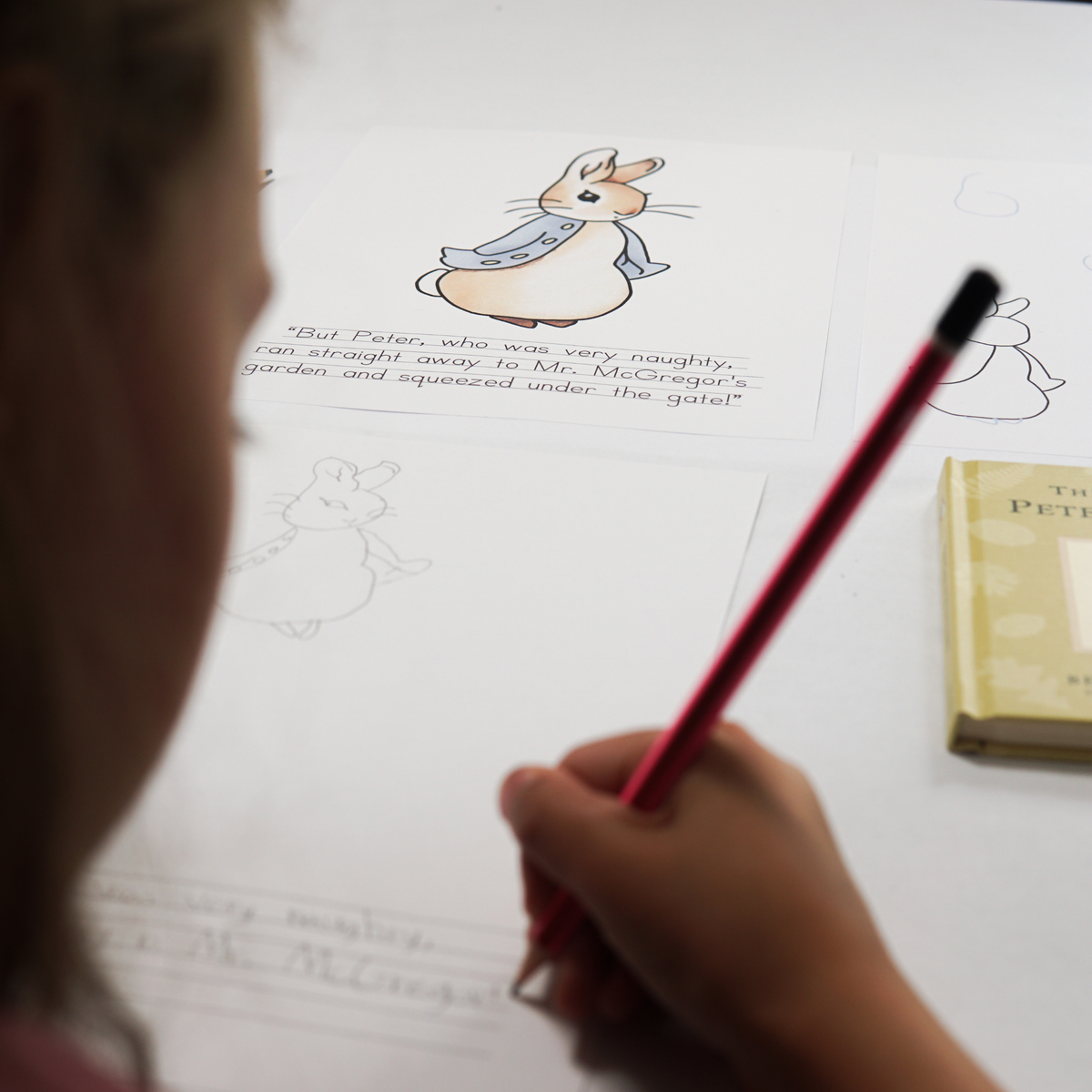 Peter Rabbit Draw and Write Activity | Beatrix Potter