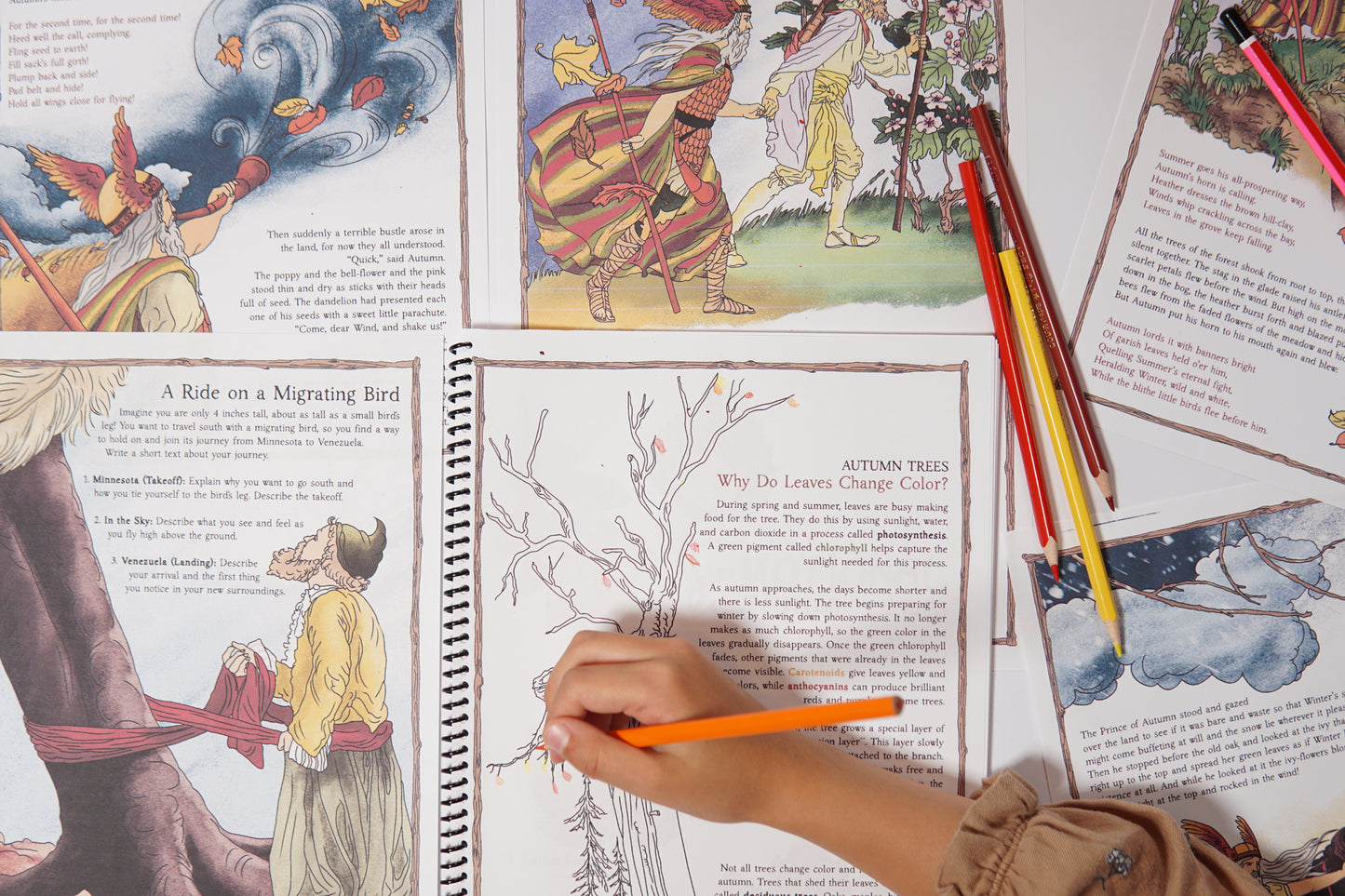 Prince Autumn: An Autumn Nature & Literature Study