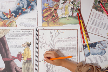 Prince Autumn: An Autumn Nature & Literature Study