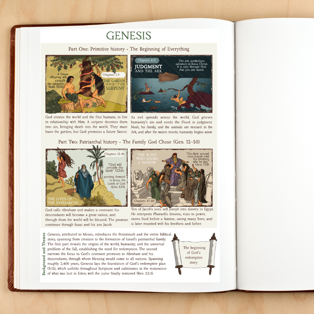 The Bible in Four Frames: THE PENTATEUCH